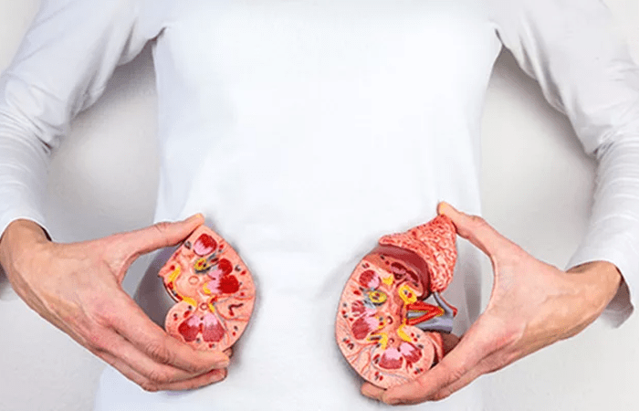 Top Methods for Kidney Stone Treatment in Jaipur