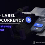 Unlock the Power of Blockchain with White Label Crypto Payment Gateway Development