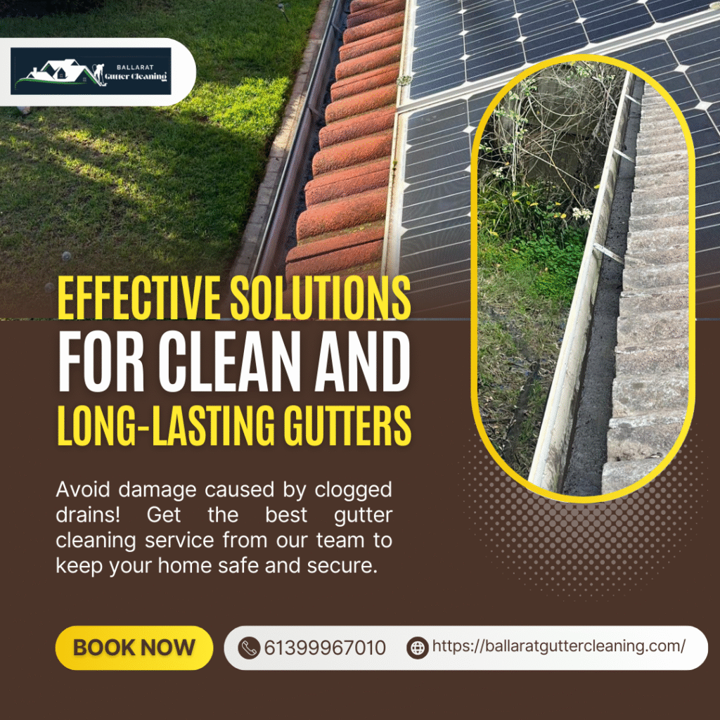 Gutter Cleaning New Port – Protect Your Property from Water Damage