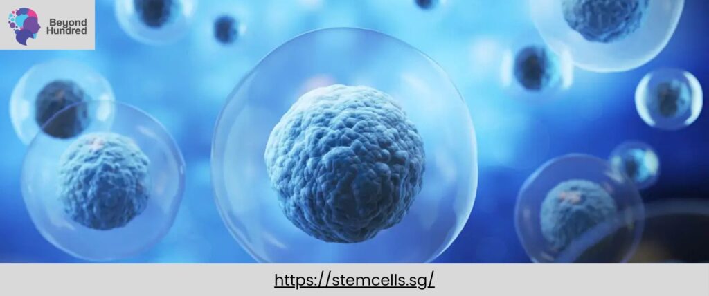 Revolutionize Your Wellness with Cutting-Edge Stem Cell Therapy Services in Japan