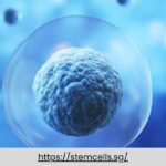 Revolutionize Your Wellness with Cutting-Edge Stem Cell Therapy Services in Japan