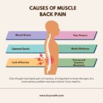 Back Pain Relief: Trusted Treatments That Help