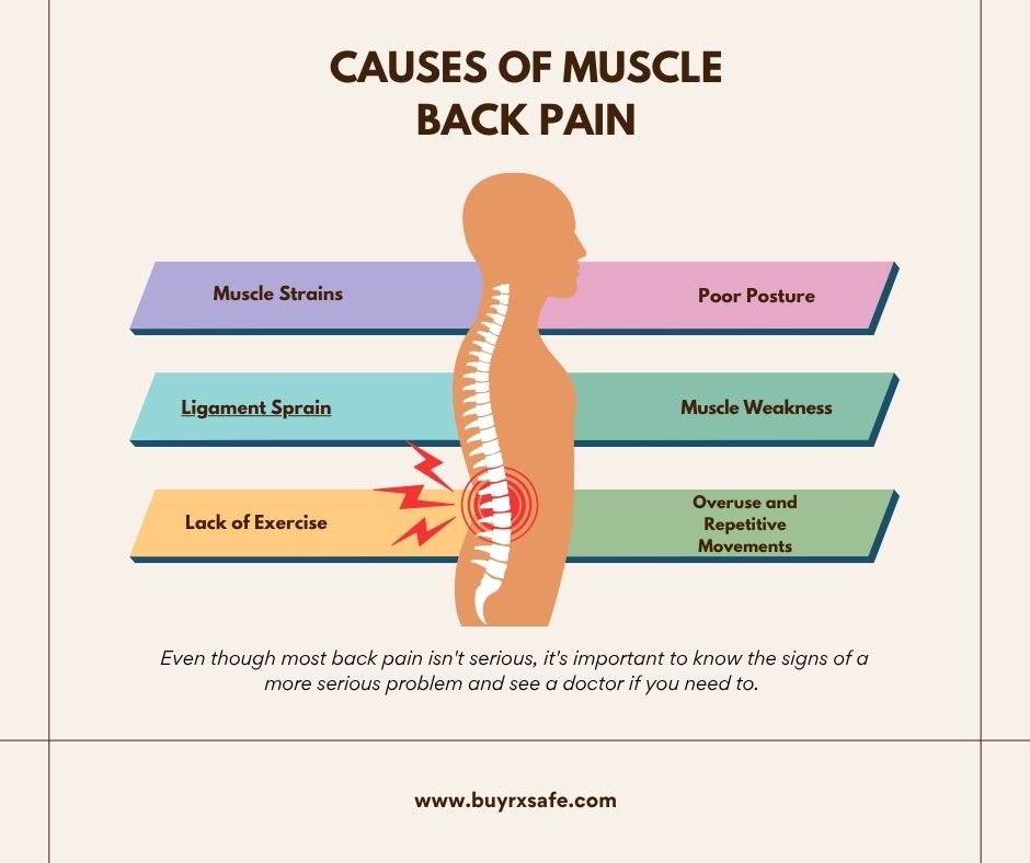Back Pain Relief: Trusted Treatments That Help