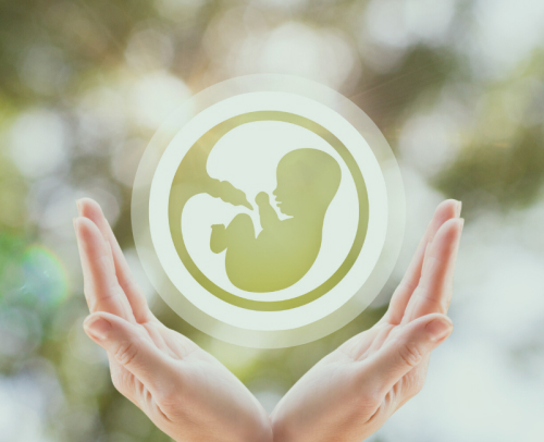 Decoding Hope: A Comprehensive Guide to Fertility Services on the Journey Through Infertility