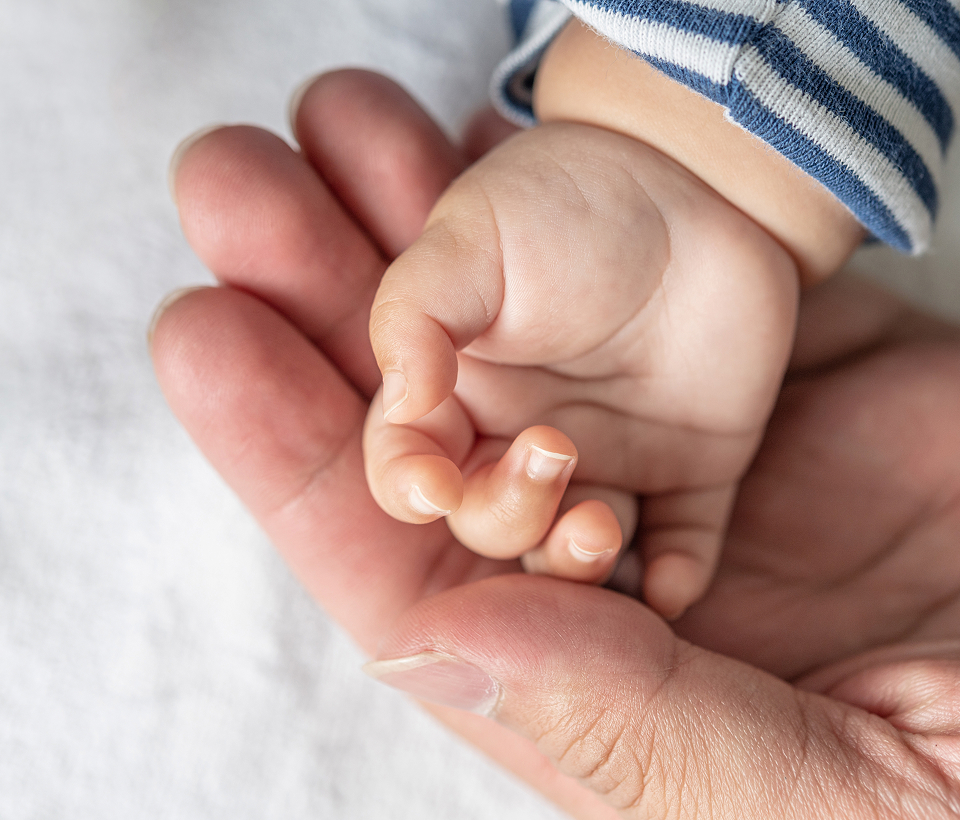 Fecondazione In Vitro a Torino: Una Guida Completa per la Procreazione Assistita