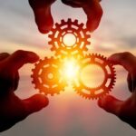 Captive Insurance Transfer Pricing: Risk Transfer and Premium Setting