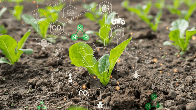 Future-Ready Food Systems with Regenerative Agriculture