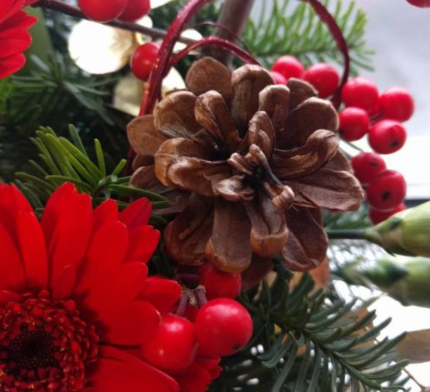How to Choose the Perfect Christmas Flowers for Gifting and Celebrations