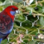 Top Anti Bird Net Manufacturers in India | Durable & Affordable Bird Protection Nets | Arthi Enterprises