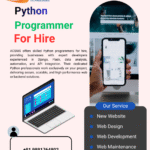 How to Find the Right Python Programmer for Hire