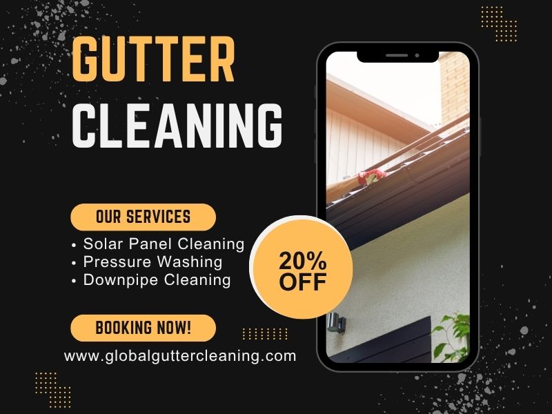 DIY vs Professional Gutter Cleaning in Pearcedale – Which Is Right for You?