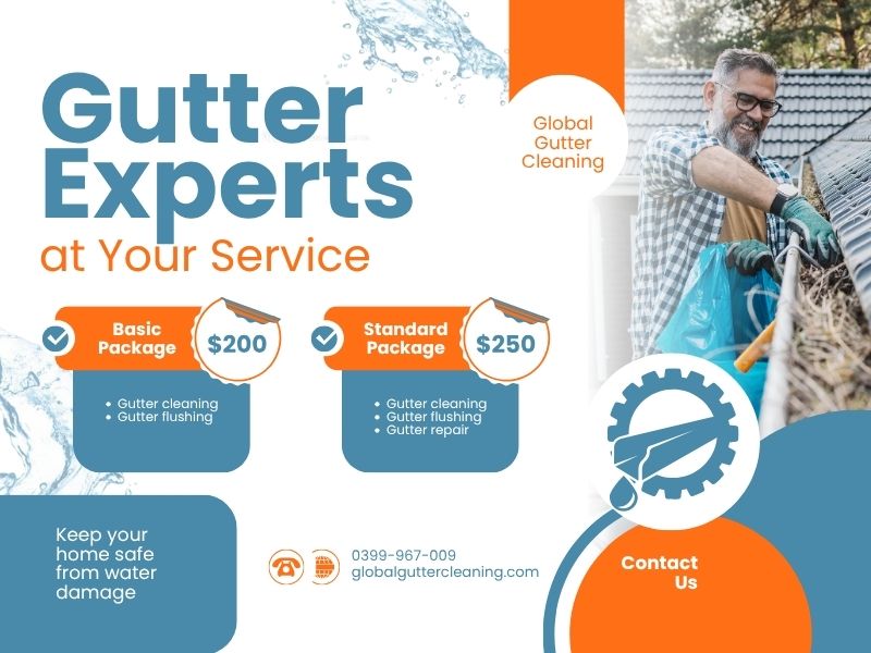 Protect Your Home with Professional Gutter Cleaning in Olinda