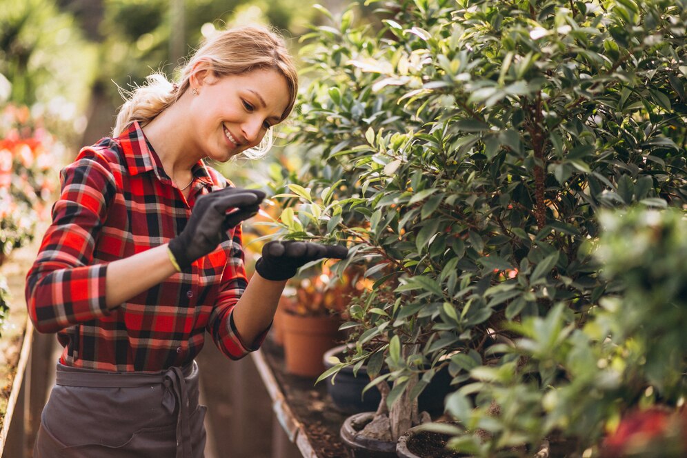 Seasonal Tree Care Tips for Sydney’s Climate