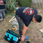 Rodent Control Los Angeles Options for Businesses and Commercial Spaces