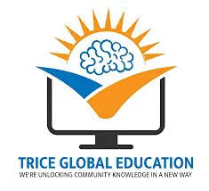 Trice Global Education: Professional SEO & SMO Services That Deliver Results