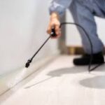 Trusted Pest Control Aurora Services for Safe Homes