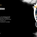 Luxury Limoexpress Where Style, Precision, and Human Care Intersect