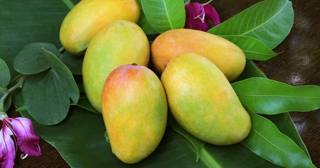 What Retailers Expect from Mango Price in Pakistan 2026?