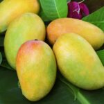 What Retailers Expect from Mango Price in Pakistan 2026?