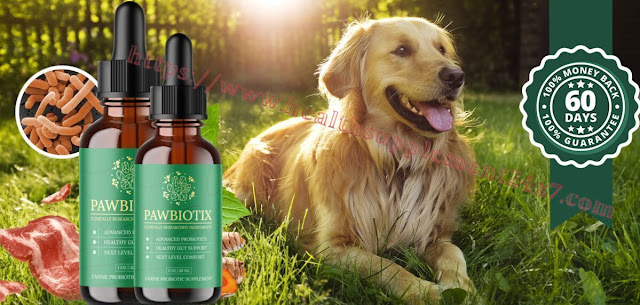 Pawbiotix: A Comprehensive Guide to Enhancing Your Pet’s Gut Health and Vitality