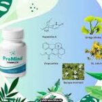 ProMind Complex: A Deep Dive into the Supplement for Cognitive Clarity and Memory Enhancement
