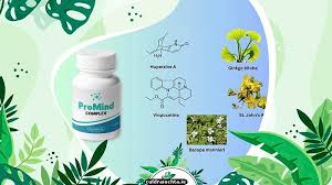 ProMind Complex: A Deep Dive into the Supplement for Cognitive Clarity and Memory Enhancement