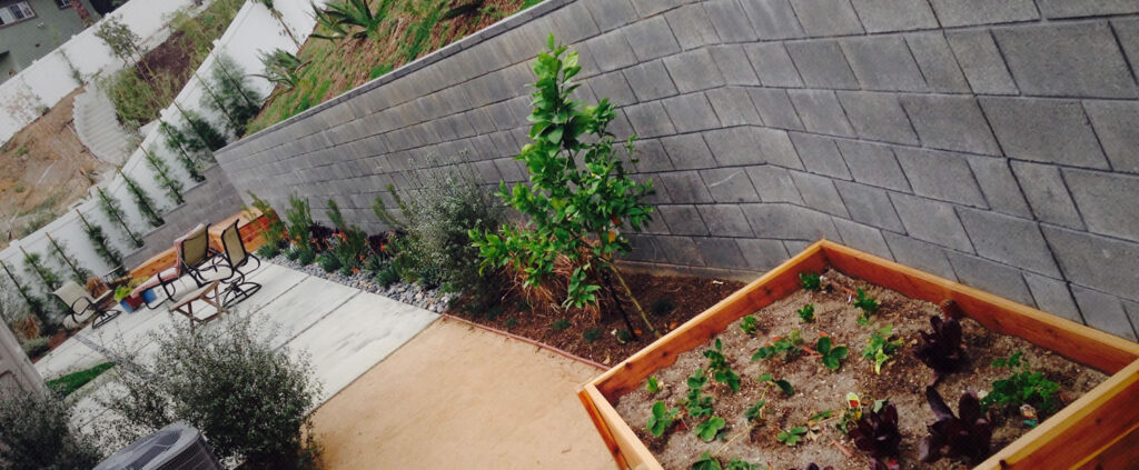 Expert Tips for Modern Landscape Design in Los Angeles