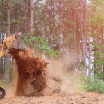 How Do Clearing Crews Prepare Sites for New Builds?