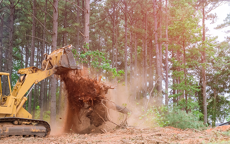 How Do Clearing Crews Prepare Sites for New Builds?