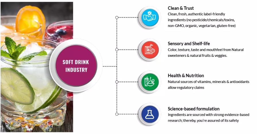 Beverage Formulation Cost Breakdown: What You’re Really Paying For & How to Reduce R&D Expenses