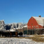 Can a Solar Water Pump Run Without Full Sun? Explained