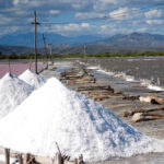 From Kutch to the World: How Gandhidham Became a Key Hub for Salt Exports