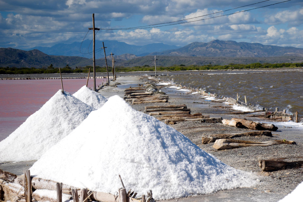 From Kutch to the World: How Gandhidham Became a Key Hub for Salt Exports