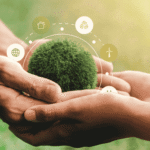 Nature Based Solutions Pathway Sustainability and Stakeholder Trust