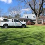 Why Should You Choose Lawn Renovation and Mulching Services for Your Property?