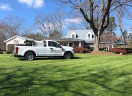 Why Should You Choose Lawn Renovation and Mulching Services for Your Property?