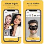 Mastering Networking and Professional Communication Online