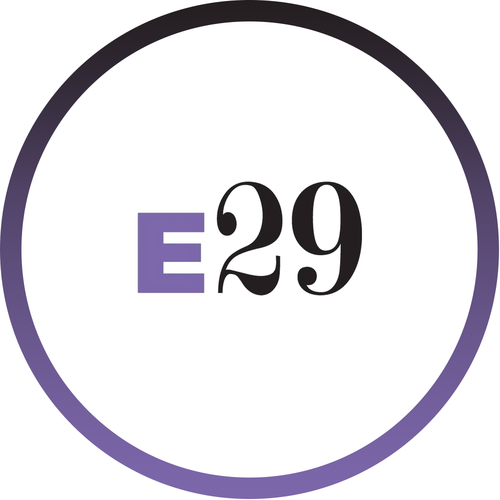 E29 Marketing: SEO Services, Marketing & Full Service Advertising Agency California