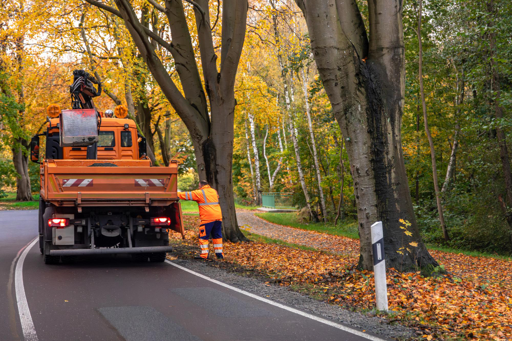 Upgrade Your Waste Clearance with Grab Hire in Ripley, Woking & Guildford