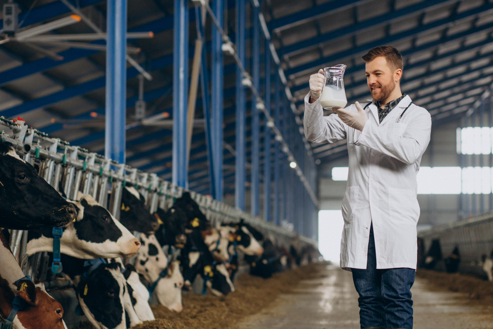 ERP for the Dairy Industry: From Milk Collection to Distribution
