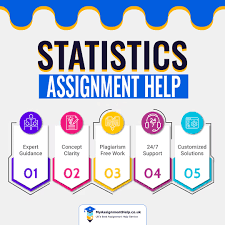 Do You Offer 24/7 Support for Statistics Assignment Help UK?