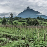 DRC eVisa for Belarus Citizens