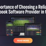 Why US Operators Need a Reliable Sportsbook Software Provider