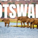 Botswana eVisa for Egyptian Citizens