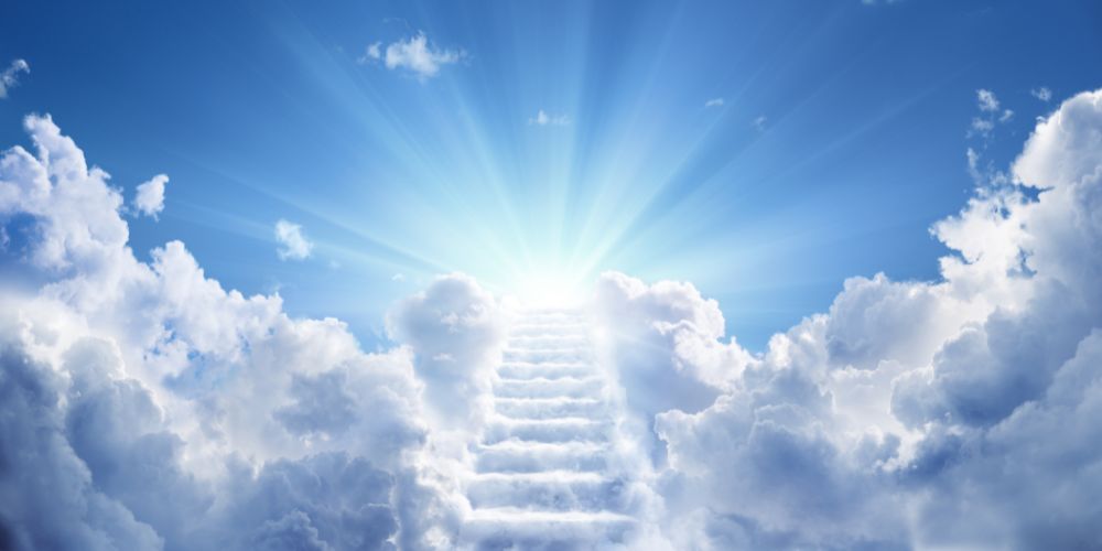 Does God Have a Plan Beyond Career, Success, and Circumstances?