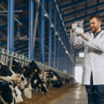 ERP Dairy Solutions: A Complete Guide for Modern Dairy Businesses