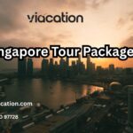 Why Singapore Tour Packages Are Ideal for Family Holidays in 2026?