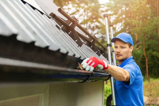 Gutter Cleaning in Toorak: Keeping Your Property Safe and Clean