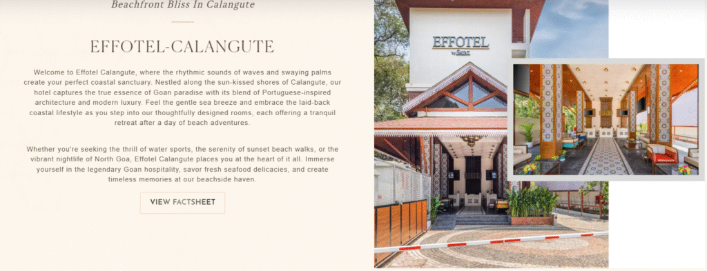 Where to Go in Goa for the Best Beach, Food, and Culture Experience