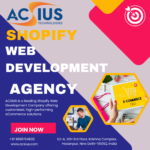 Grow Your Store When You Hire Professional Shopify Developers